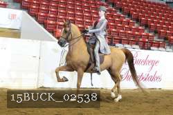 15BUCK_02538 proof