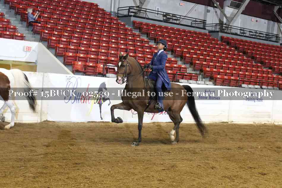 Proof 15BUCK_02539