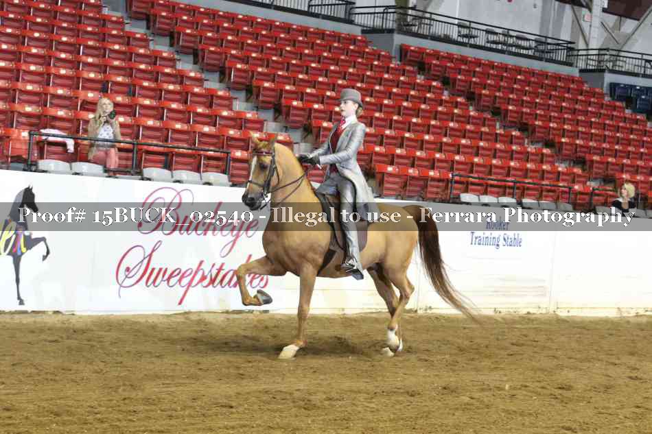 Proof 15BUCK_02540