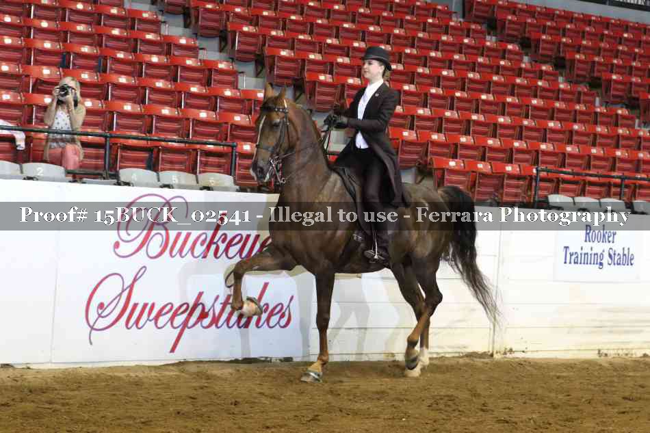 Proof 15BUCK_02541
