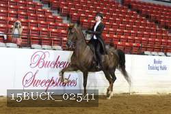 15BUCK_02541 proof