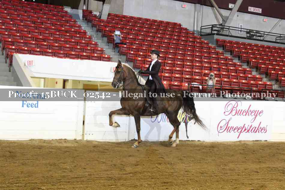 Proof 15BUCK_02542