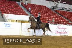 15BUCK_02542 proof