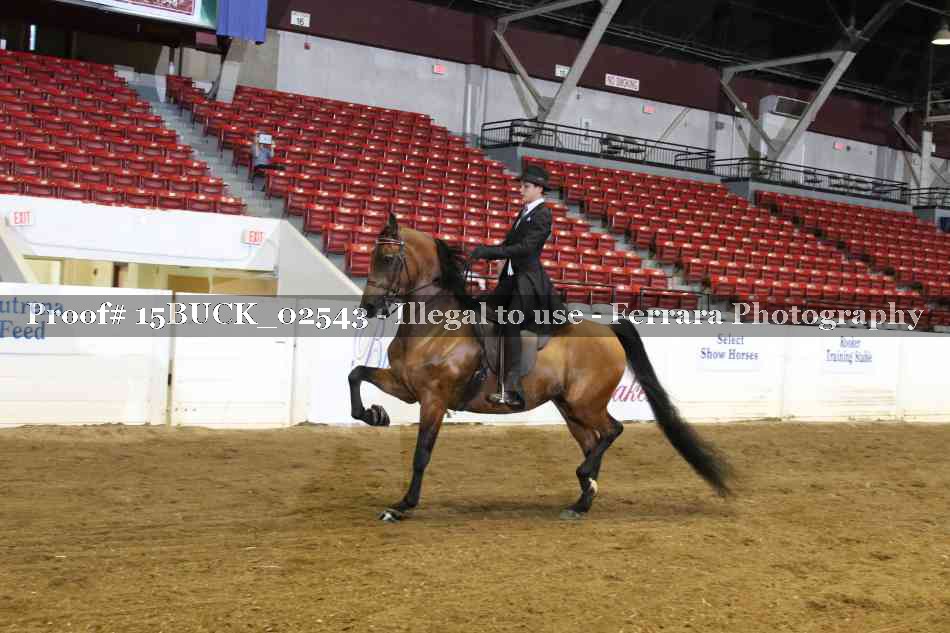 Proof 15BUCK_02543