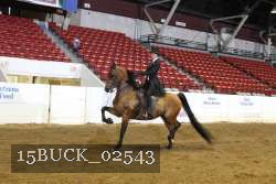 15BUCK_02543 proof