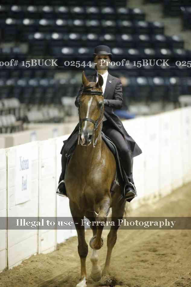 Proof 15BUCK_02544