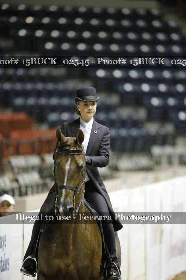 Proof 15BUCK_02545