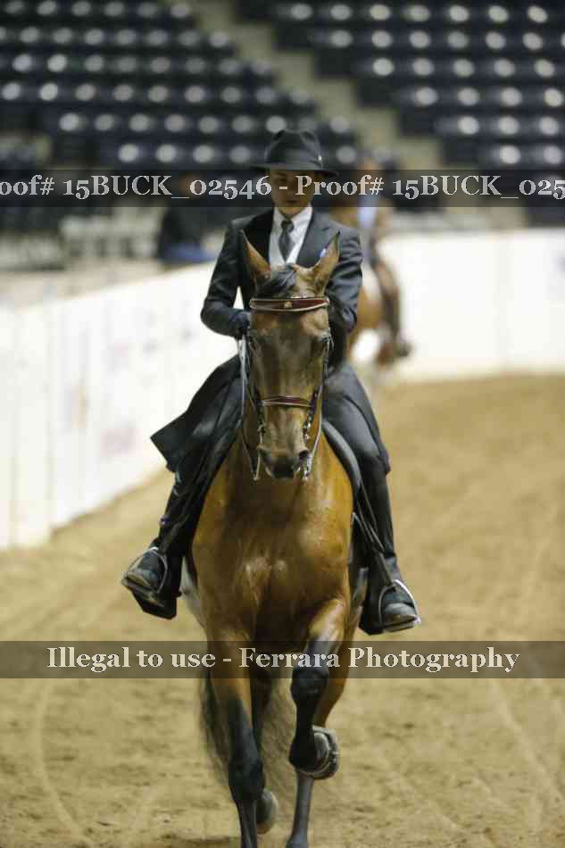 Proof 15BUCK_02546