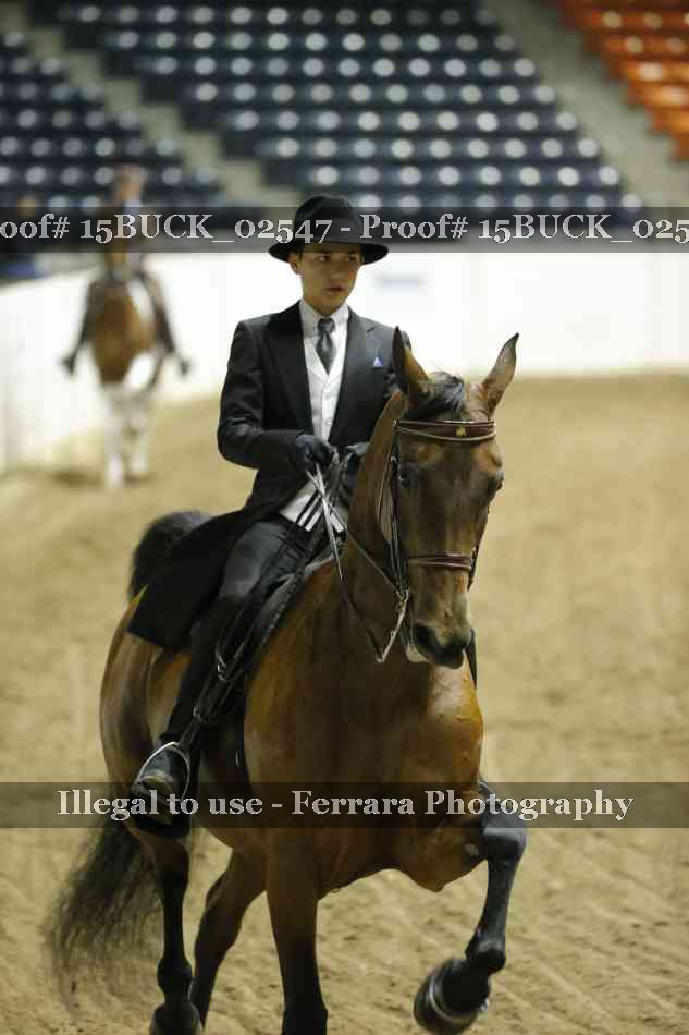 Proof 15BUCK_02547