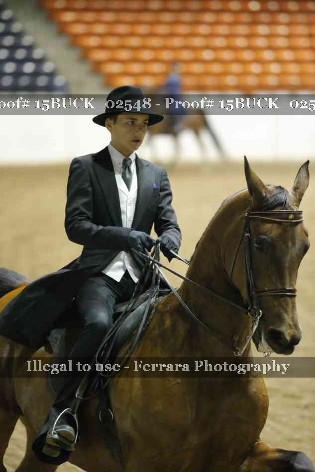 Proof 15BUCK_02548