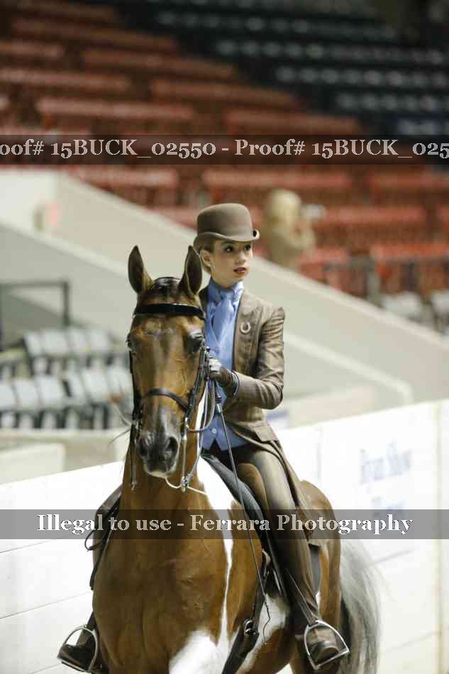 Proof 15BUCK_02550