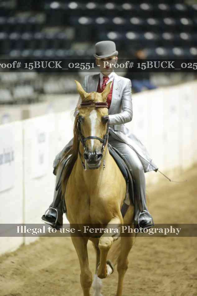 Proof 15BUCK_02551