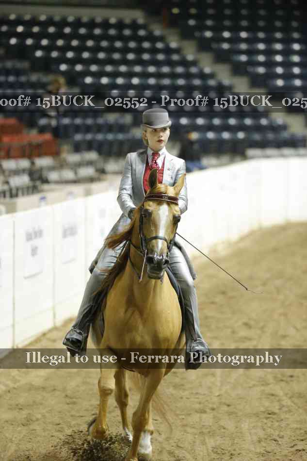 Proof 15BUCK_02552