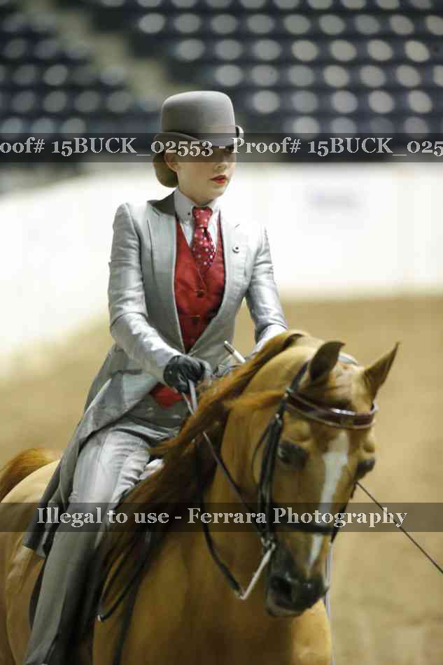 Proof 15BUCK_02553