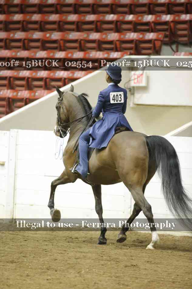 Proof 15BUCK_02554