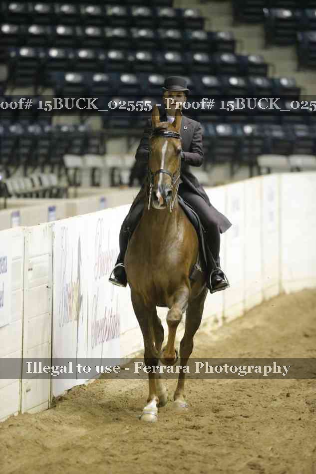 Proof 15BUCK_02555
