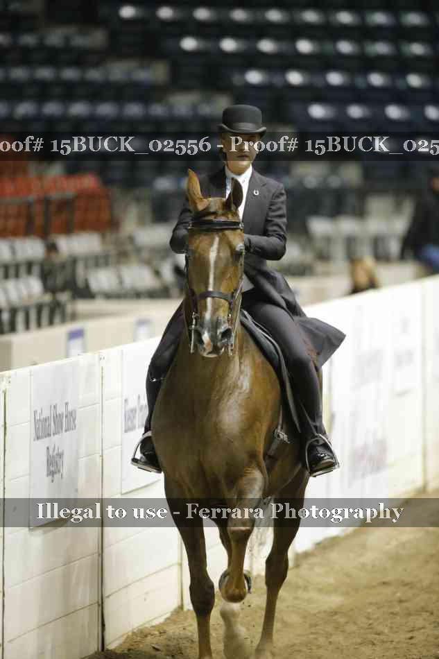 Proof 15BUCK_02556