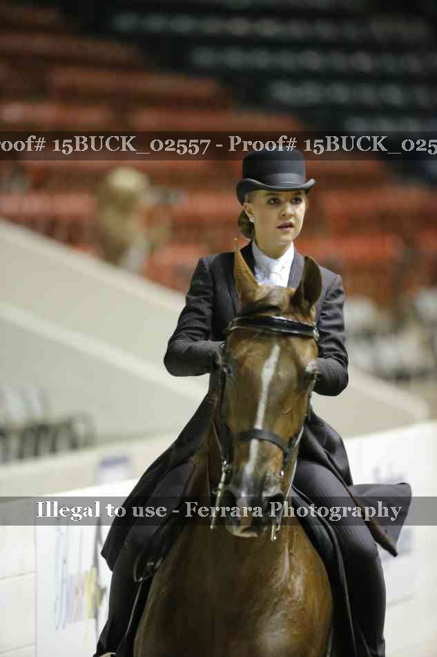 Proof 15BUCK_02557