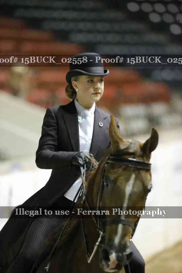 Proof 15BUCK_02558