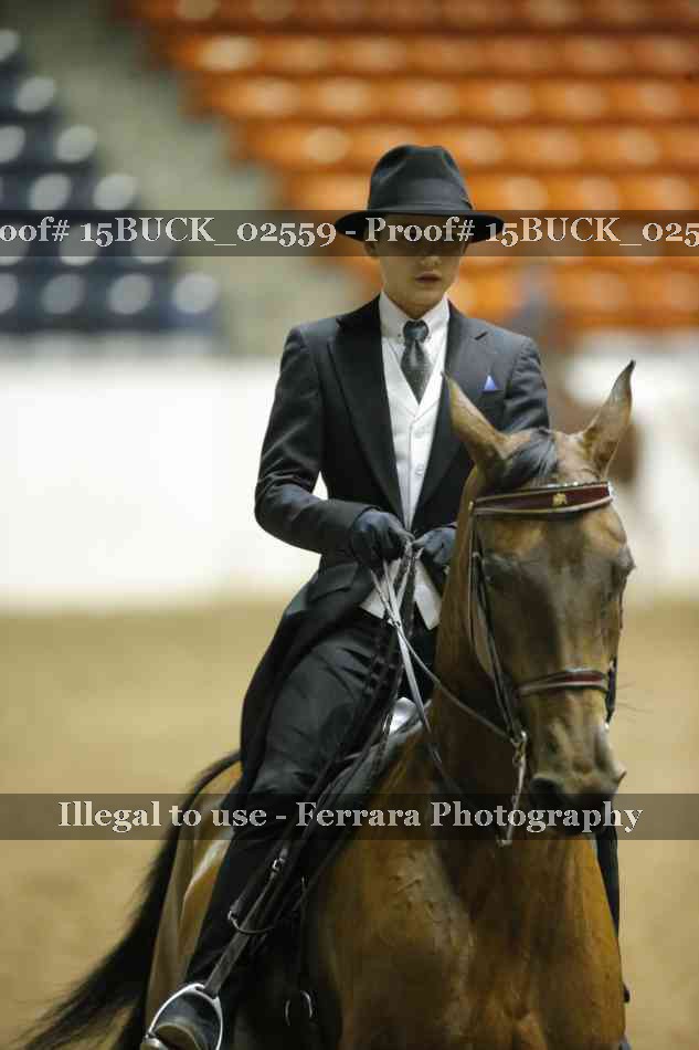 Proof 15BUCK_02559