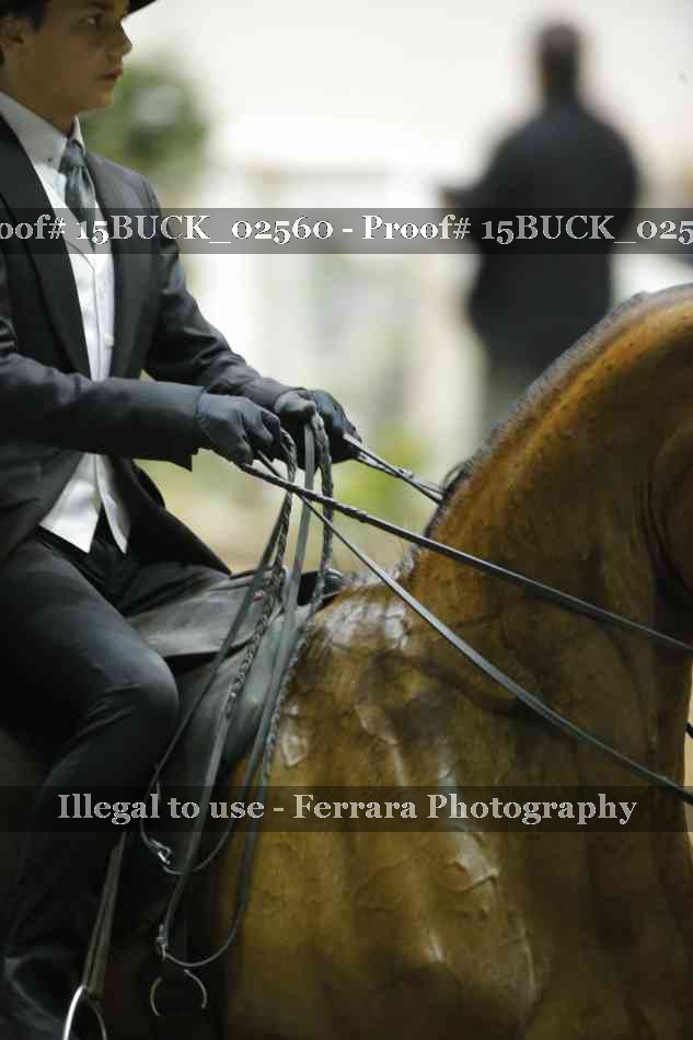 Proof 15BUCK_02560