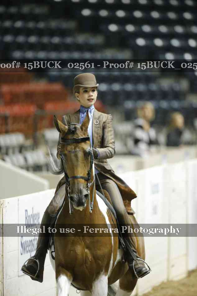 Proof 15BUCK_02561