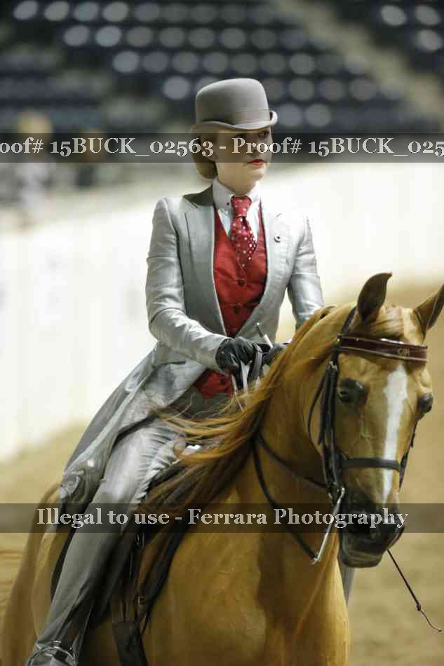 Proof 15BUCK_02563