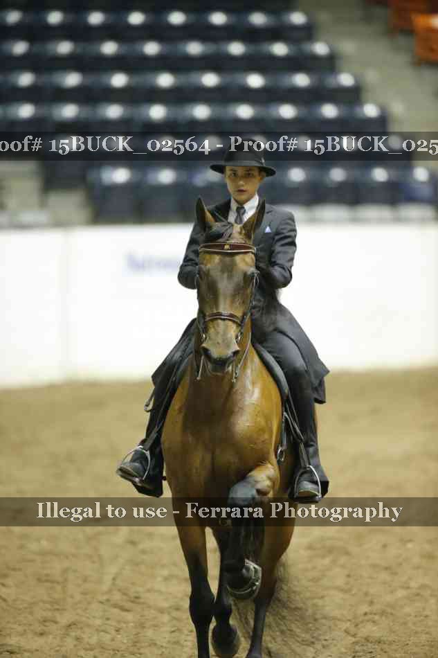 Proof 15BUCK_02564