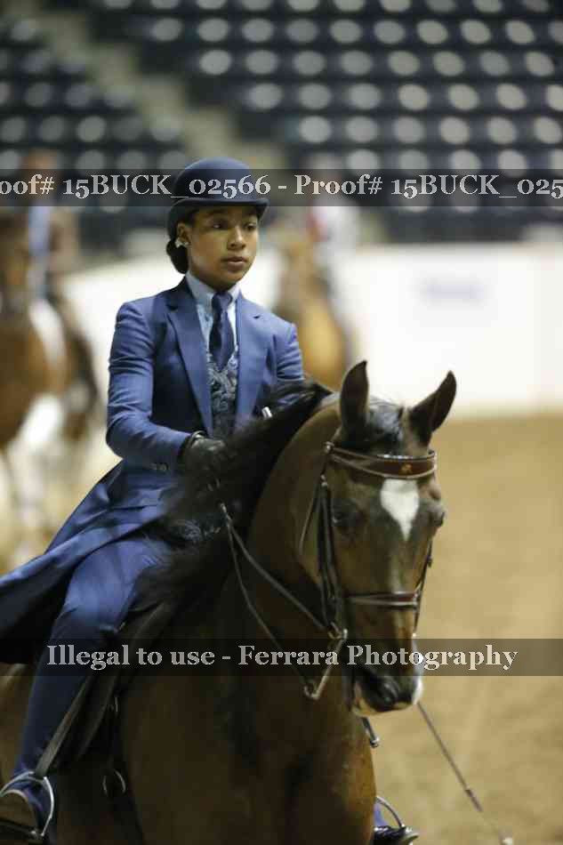 Proof 15BUCK_02566