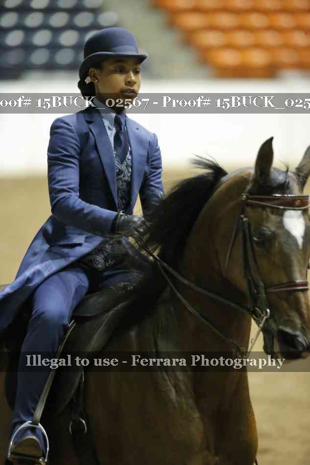 Proof 15BUCK_02567