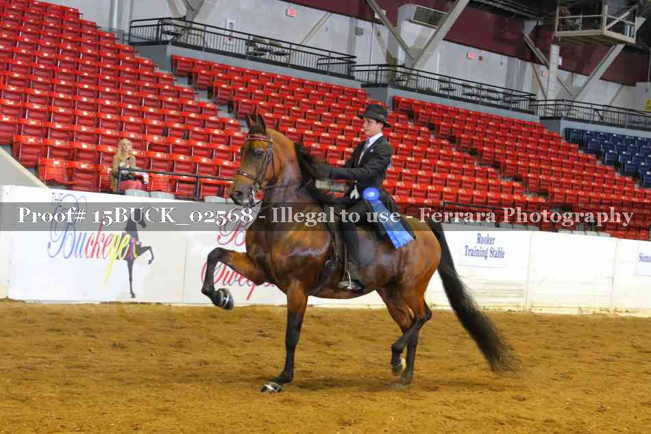 Proof 15BUCK_02568