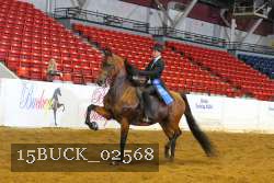 15BUCK_02568 proof