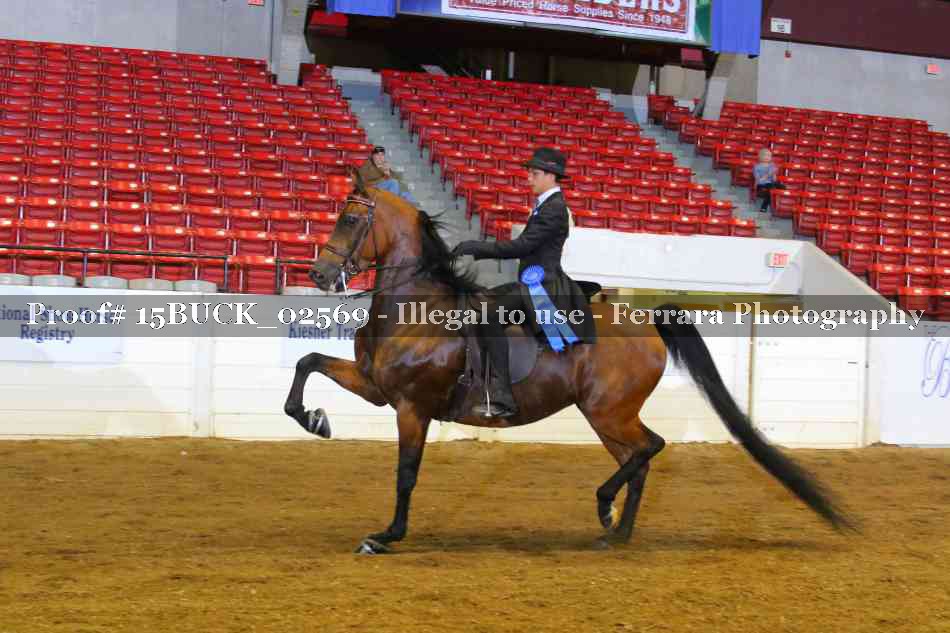 Proof 15BUCK_02569