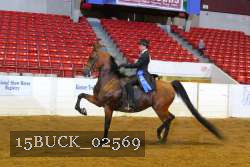 15BUCK_02569 proof