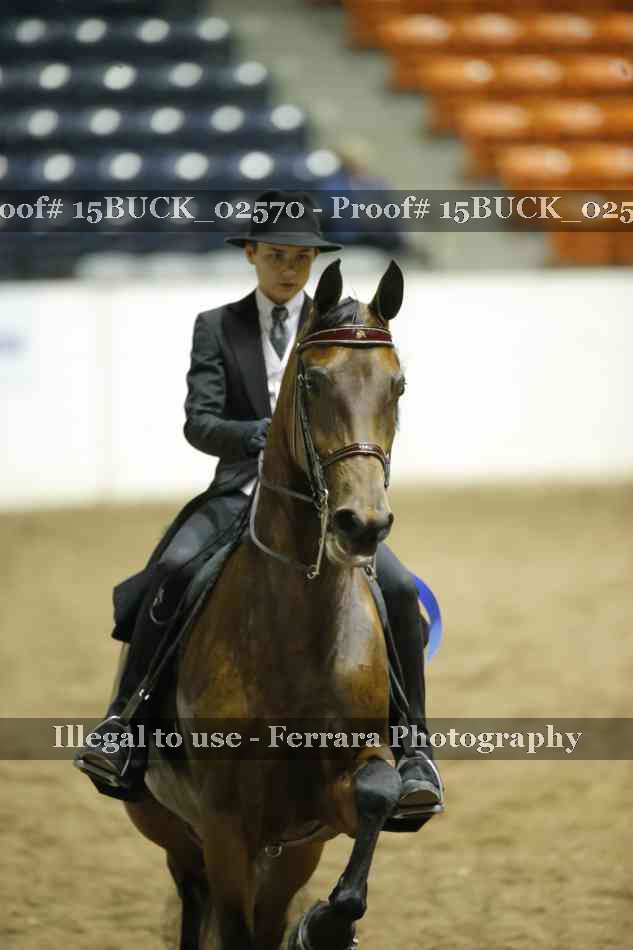 Proof 15BUCK_02570