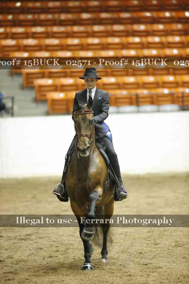 Proof 15BUCK_02571