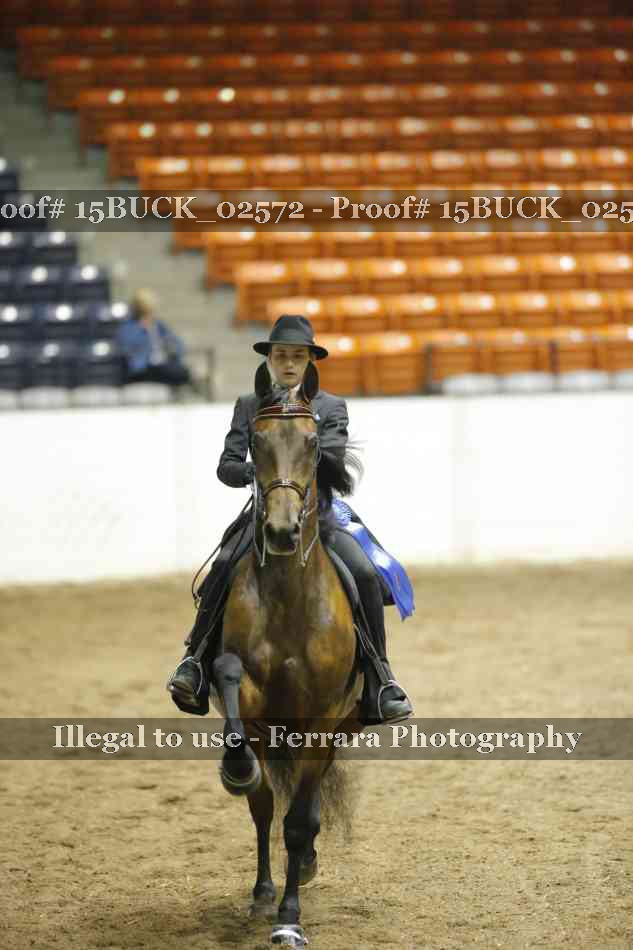 Proof 15BUCK_02572