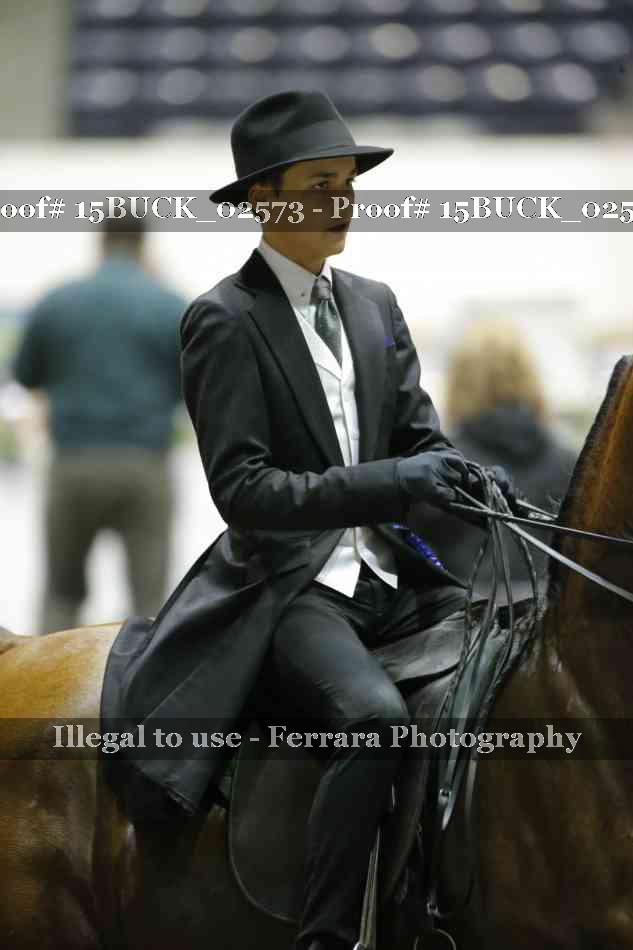 Proof 15BUCK_02573
