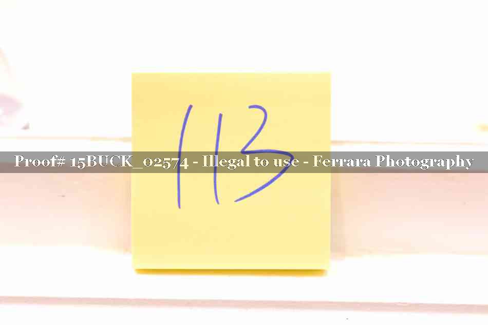 Proof 15BUCK_02574