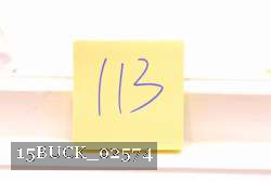 15BUCK_02574 proof