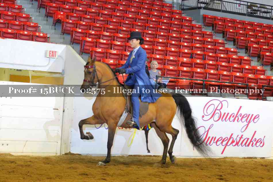 Proof 15BUCK_02575