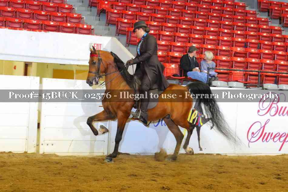 Proof 15BUCK_02576
