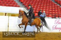 15BUCK_02576 proof