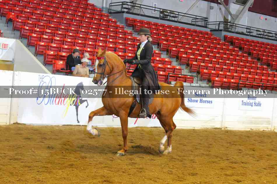 Proof 15BUCK_02577
