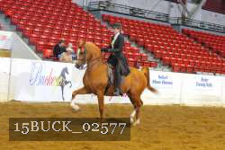 15BUCK_02577 proof