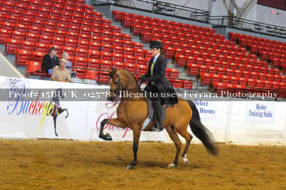 Proof 15BUCK_02578