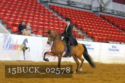 15BUCK_02578 proof