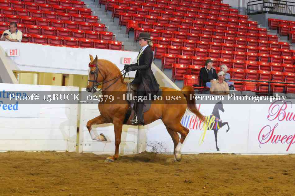 Proof 15BUCK_02579