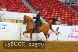 15BUCK_02579 proof
