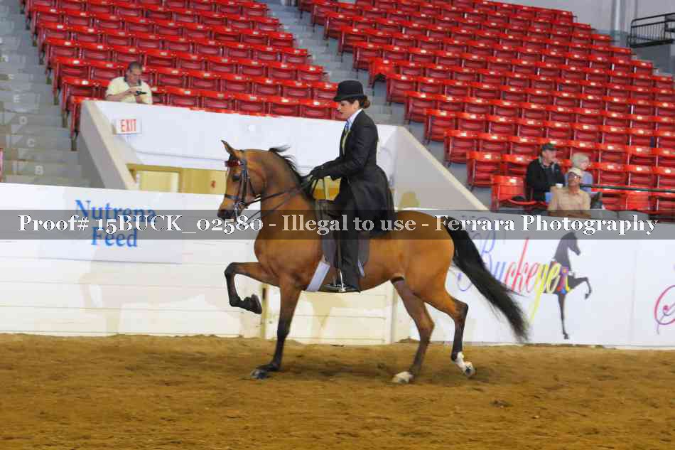 Proof 15BUCK_02580